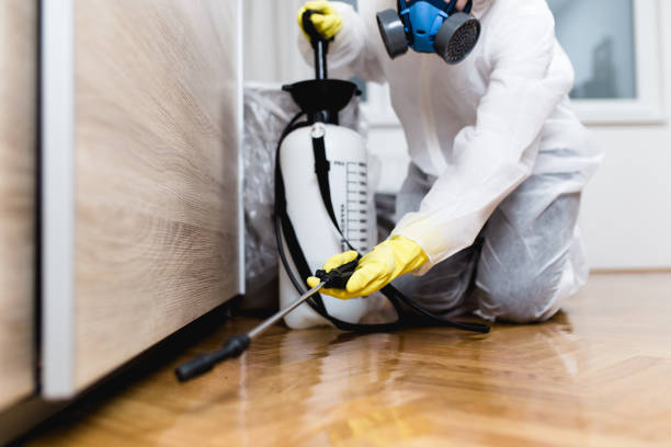 Best Flea Control Services  in Mason, MI