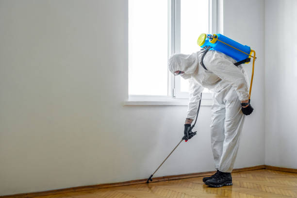 Best Best Pest Control Companies  in Mason, MI