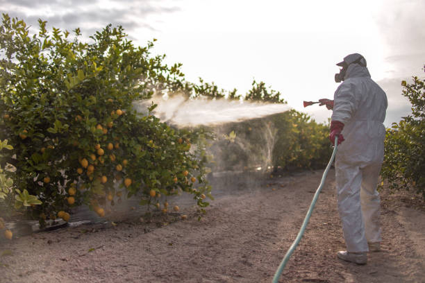 Best Pest Removal Services  in Mason, MI