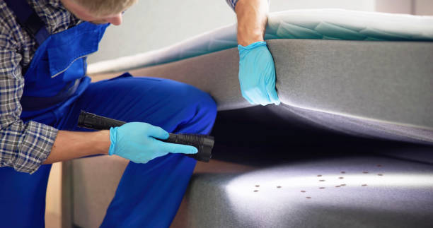 Best Commercial Pest Control Services  in Mason, MI
